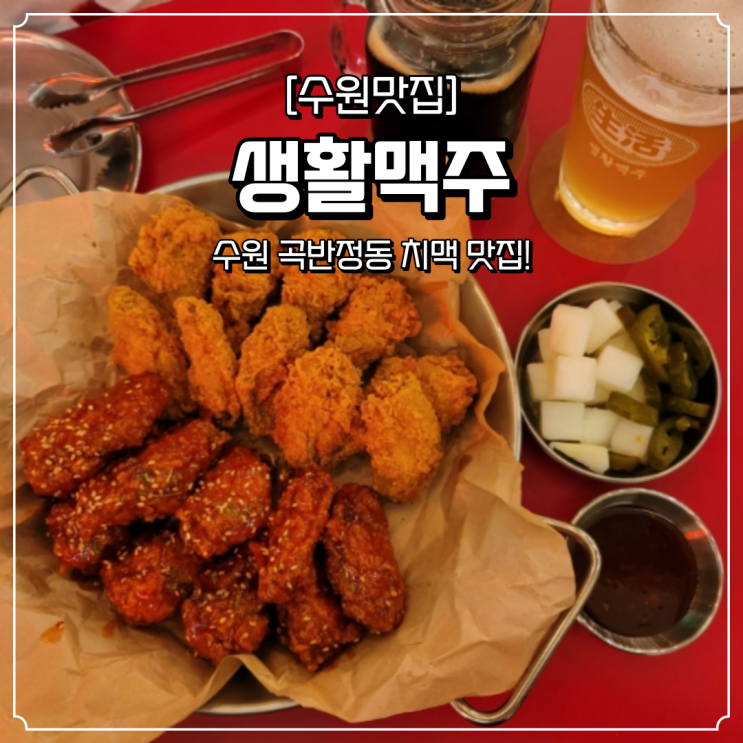  곡반정동맛집 곡반정동술집 생활맥주