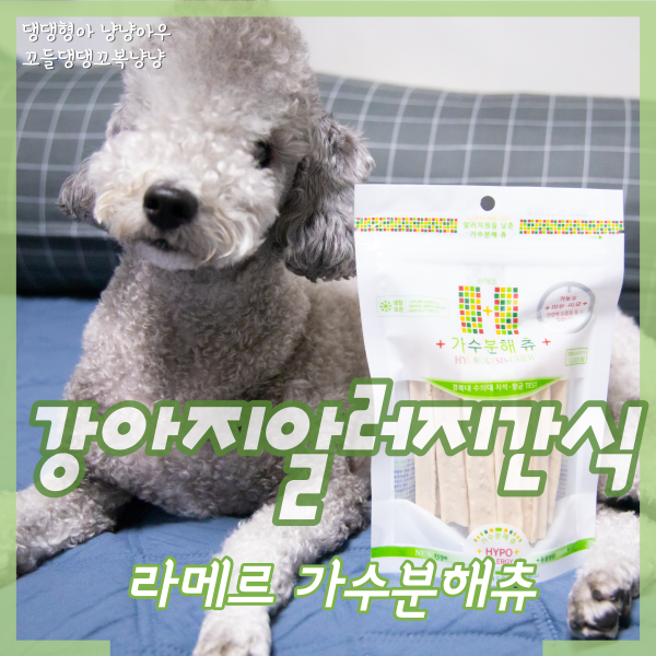  라메르 가수분해츄, 강아지 알러지 간식으로 좋은 껌