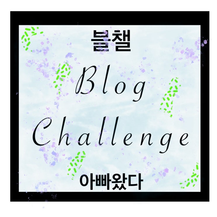  SoSo한 주말 일상