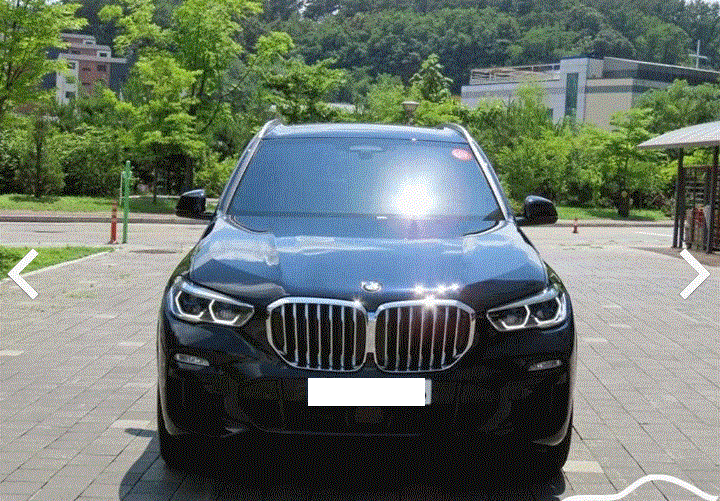 BMW X5 중고 단점은없네