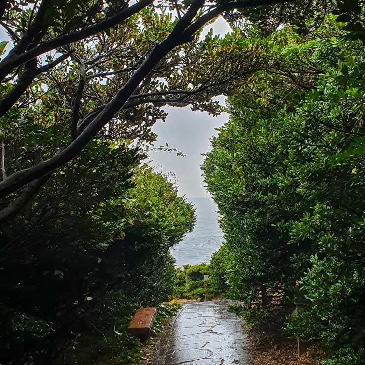  인생샷