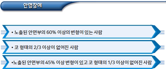 언어, 정신장애 등 장애유형별 중복합산기준 언어, 정신장애 등 장애유형별 중복합산기준