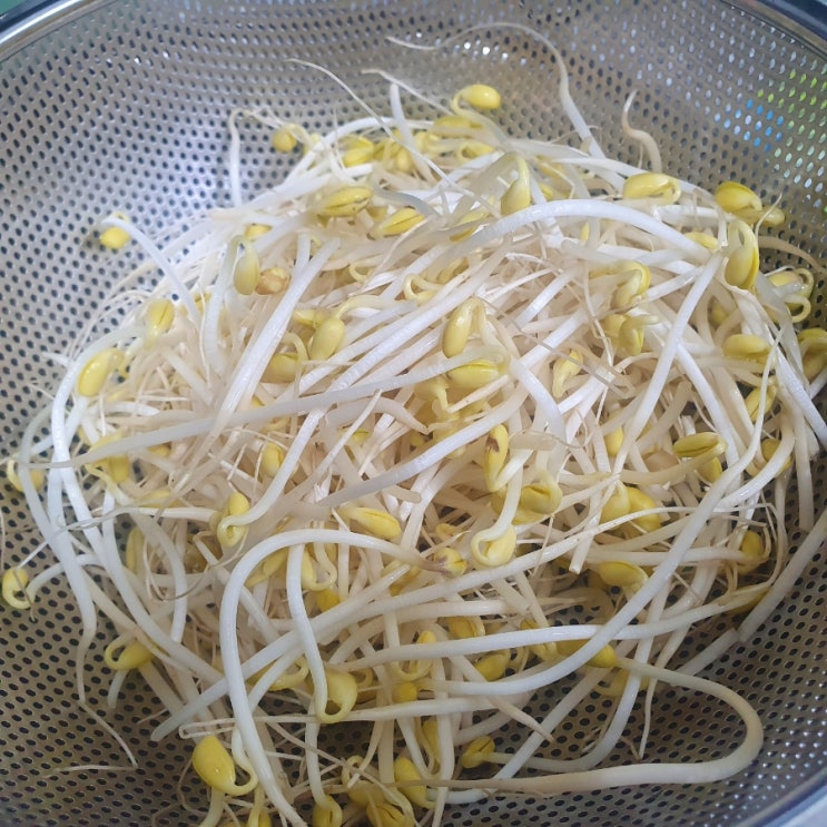  초간편 완젼 빠르게 콩나물국 끓이기