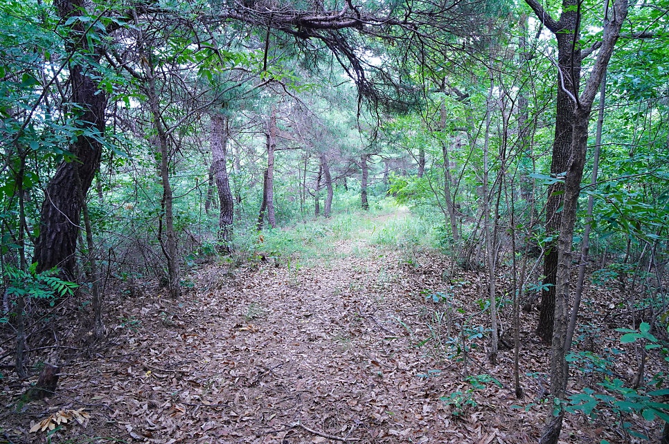 자파산 사진 6