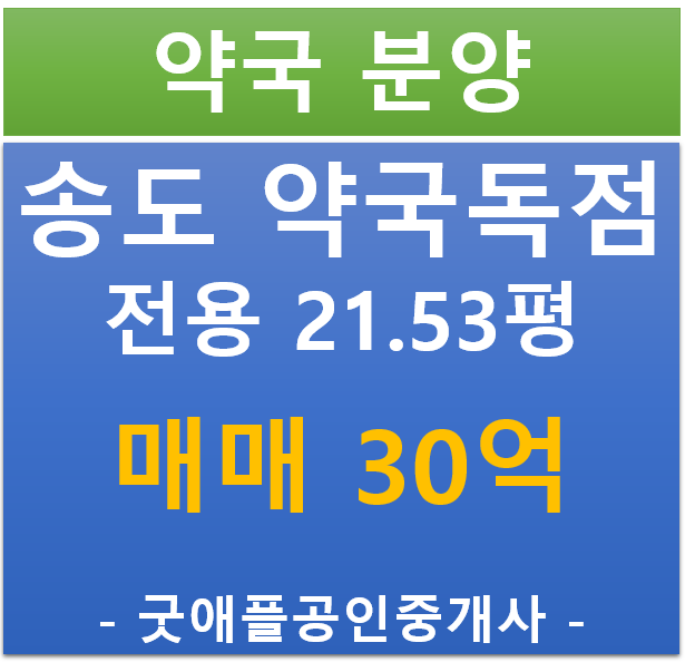 인천 송도 연수구, 약국 독점 상가 분양 (매매 30억 / 현금 5.33% / 대출 8%)