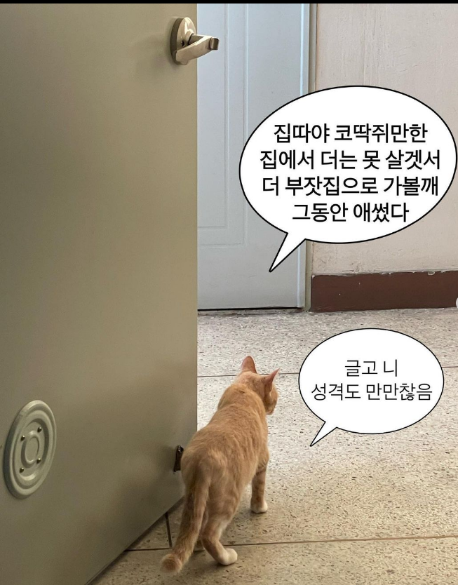  좋은 짧은 추천 외국시 모음: 칼릴 지브란 시 "사랑이 그대에게 손짓하거든",오늘의 짧은 인생 감동 명언 모음 365  ,웃긴 말풍선짤.동물밈