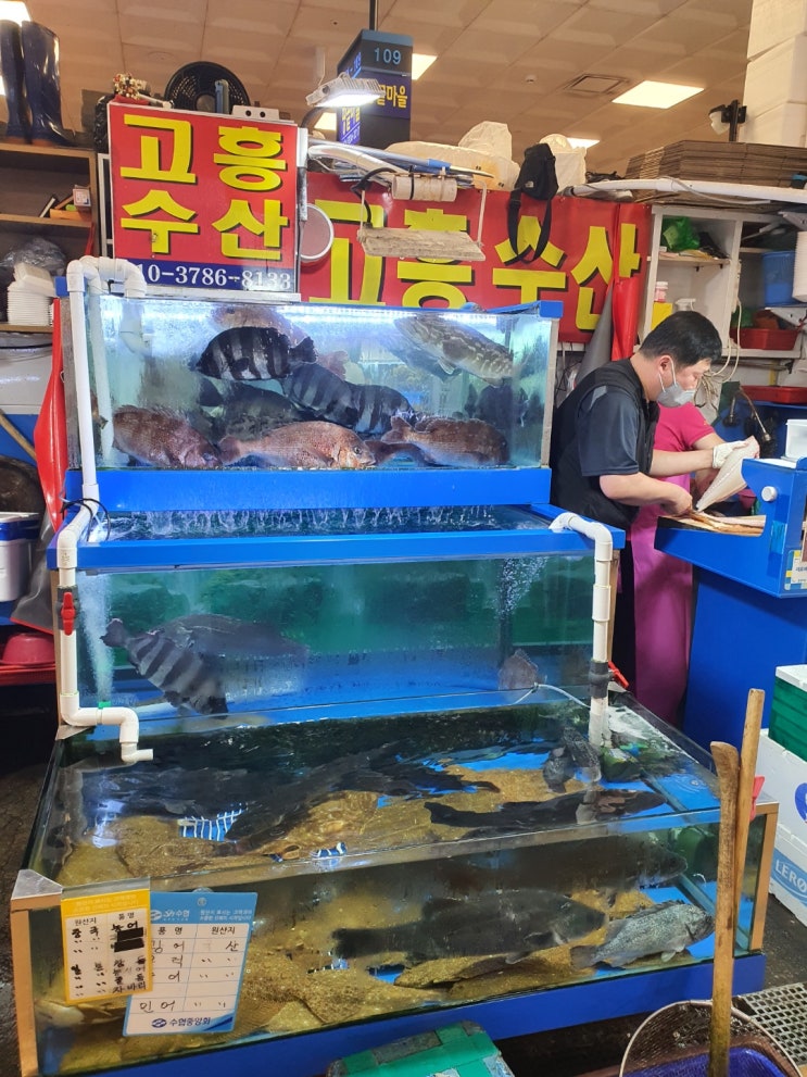  노량진 수산 시장 / 저번에 갔던 수산이 휴가라, 옆집 사장님의 호객에 넘어가다 ! / 고흥수산