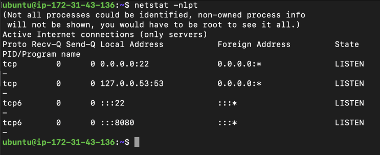  [AWS] 리눅스 vi 에디터 사용, chmod, chown 로 권한 주기, find, 파일 입출력