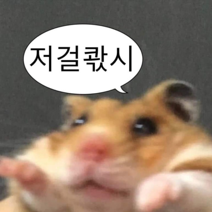  주간일기 챌린지 09 아오,,