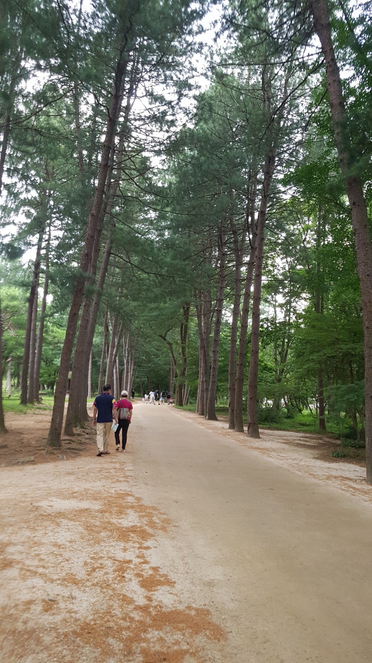 호반의 작은 섬에서 여름 즐기기.. 호반의 작은 섬에서 여름 즐기기..