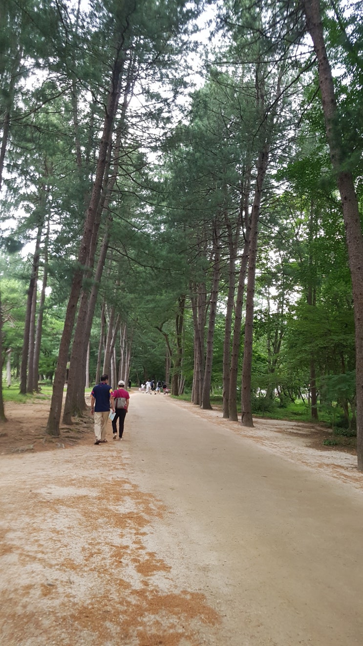 호반의 작은 섬에서 여름 즐기기..