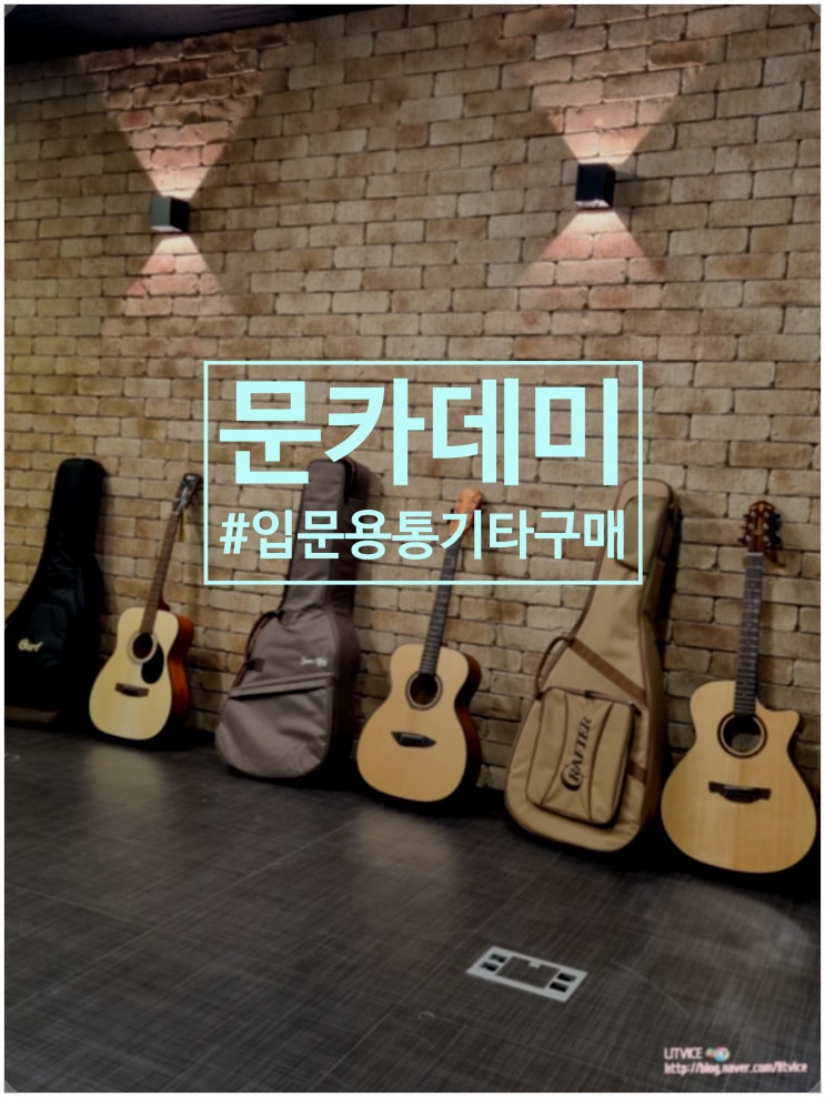  입문용통기타 문카데미 기타레슨으로 기타배우기(콜트 af510, 고퍼우드g110, 크래프터 기타)