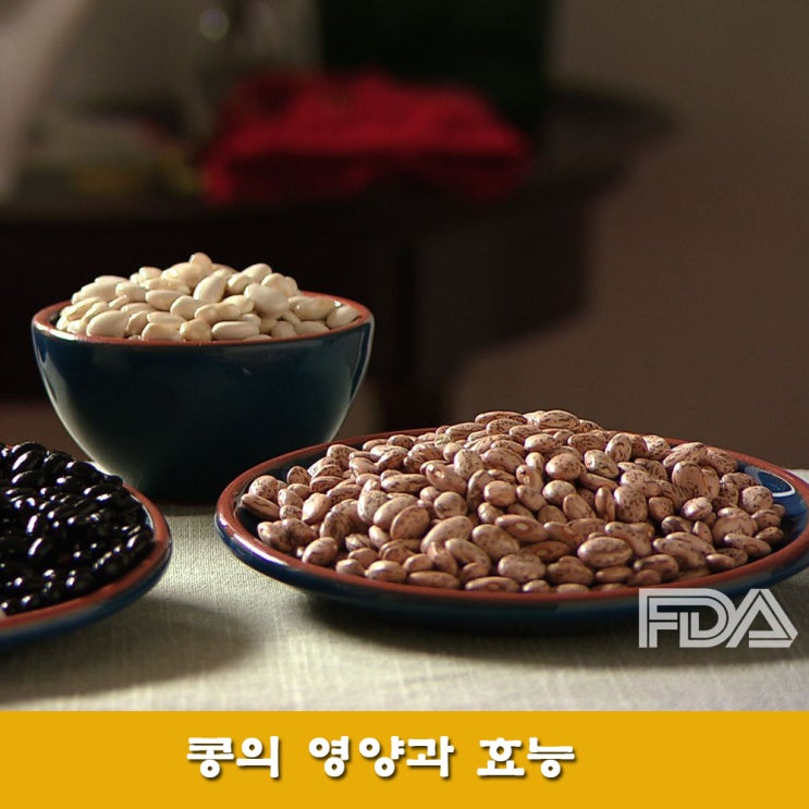  콩의 영양과 단백질 섭취 방법