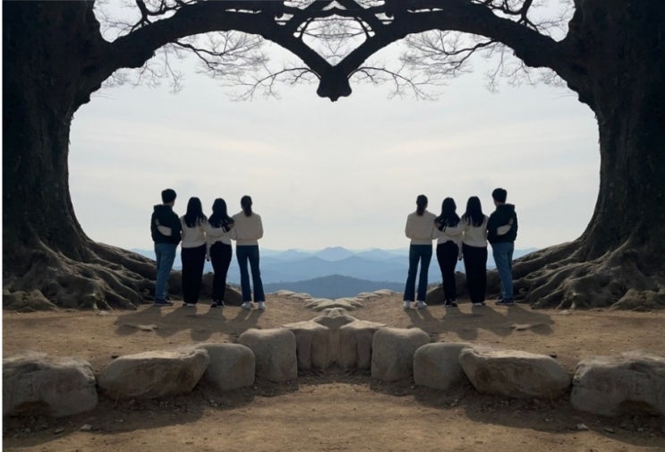 우영우 팽나무가 멀면 아이유 델루나 부여 사랑나무 어때요? 우영우 팽나무가 멀면 아이유 델루나 부여 사랑나무 어때요?
