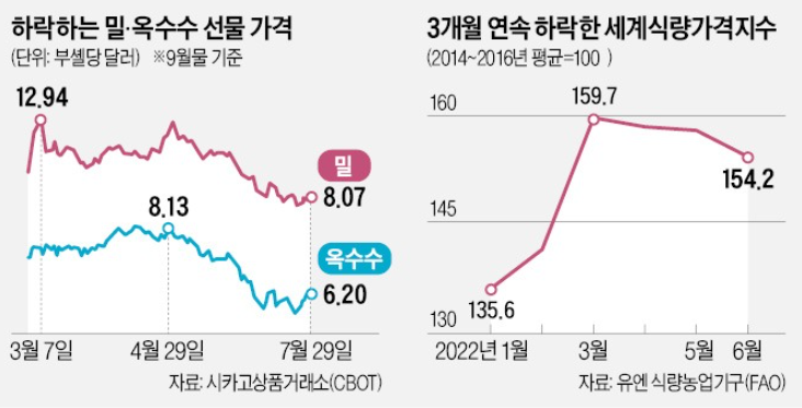 우크라 곡물 수출 재개…에그플레이션 완화? 우크라 곡물 수출 재개…에그플레이션 완화?