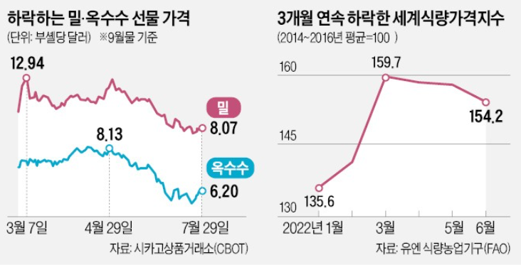 우크라 곡물 수출 재개…에그플레이션 완화?