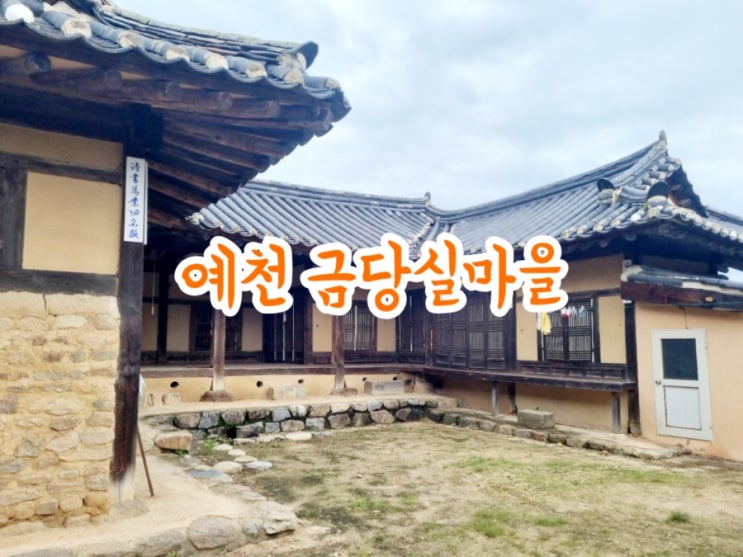  예천가볼만한곳 금당실마을 (feat. 한국천하명당 십승지)