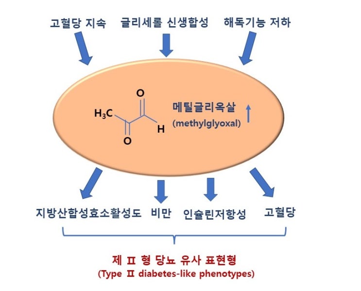  당독소(최종당화산물, AGEs) 줄이기, 당화혈색소(HbA1c), 메틸글리옥살