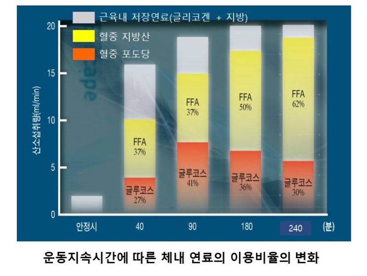  다이어트, 체지방연소를 위한 최적의 운동강도와 시간은?