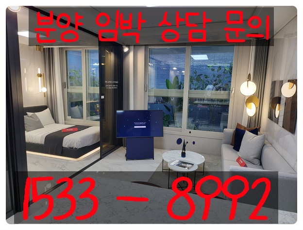  젊은 투자자