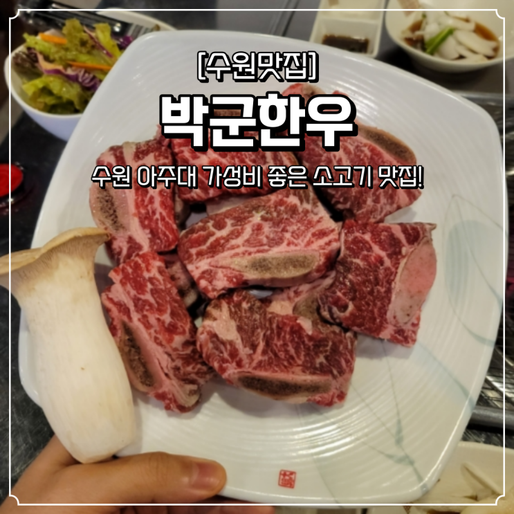  수원 소고기 맛집 박군한우
