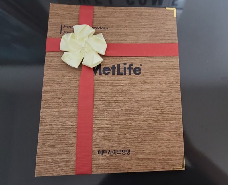 달러보험 가입했어요! / 메트라이프생명 무배당 백만인을 위한 달러종신보험(저해지환급금....