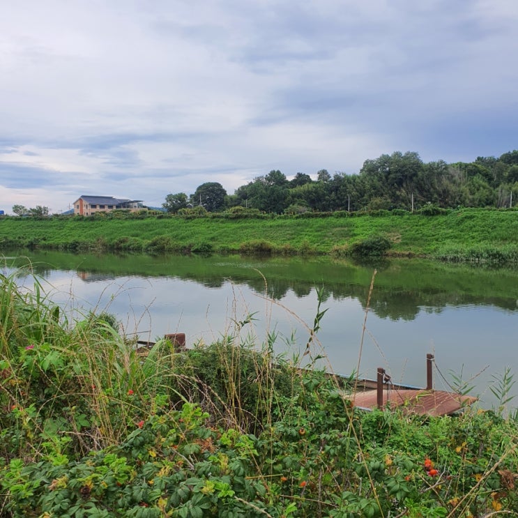 익산 기차여행 아이랑 가볼만한곳 익산 바람개비 마을 성당포구 용안 생태습지공원