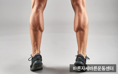 [신반포PT] 두꺼운 종아리, 종아리 얇아지는 법 ! 전. 격. 공. 개