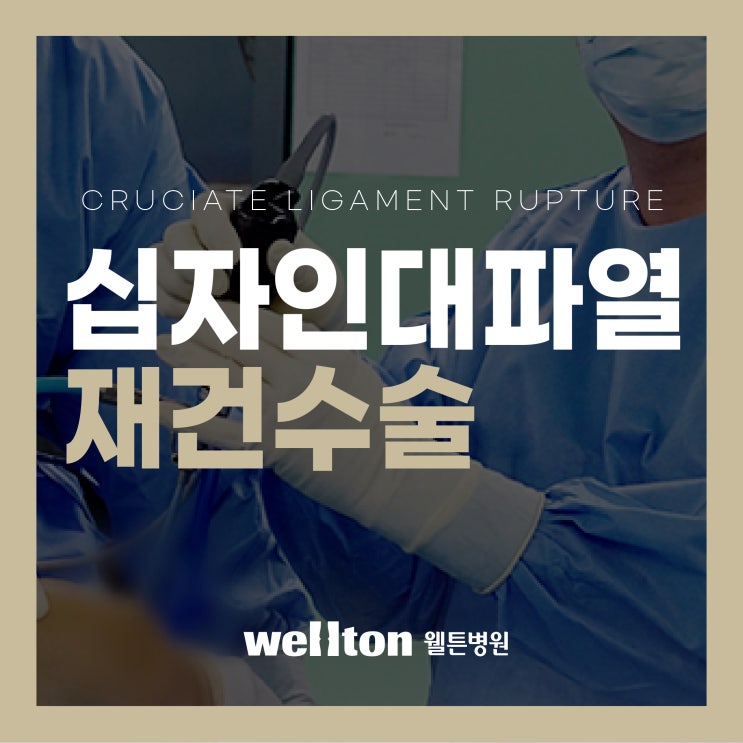  [십자인대파열 재건술] 자가건·동종건 이식부터 재활까지