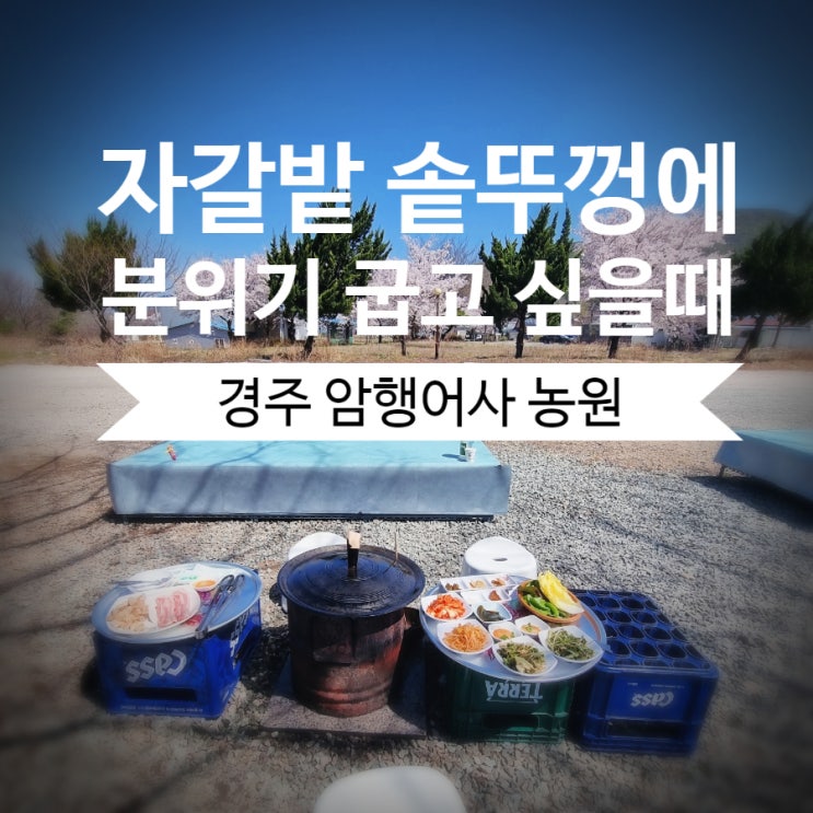  [아이와 경주여행] 암행어사 농원, 야외에서 갬성 있게 리얼 가마솥 솥뚜껑 삼겹살  내돈내산