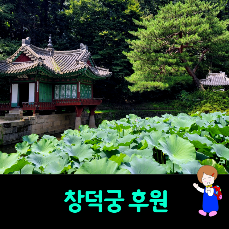 창덕궁후원 왕의 정원 창덕궁비원 관람 및 예약 창덕궁후원 왕의 정원 창덕궁비원 관람 및 예약