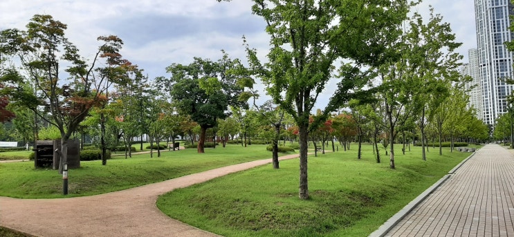 동탄여울공원 산책하기 좋은곳 동탄여울공원 산책하기 좋은곳