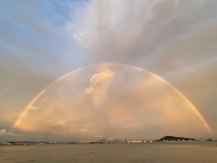  [블챌] 8월 첫 번째  주간일기