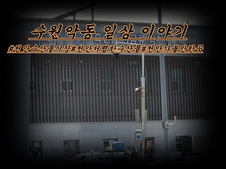  천안농수산물 도매시장 방문기 올려요..