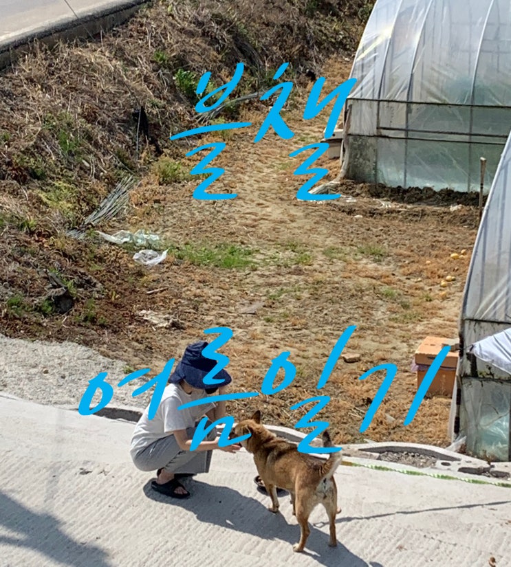 블로그 1년만에 블챌 도전 !! 7월 소비 일상 블로그 1년만에 블챌 도전 !! 7월 소비 일상