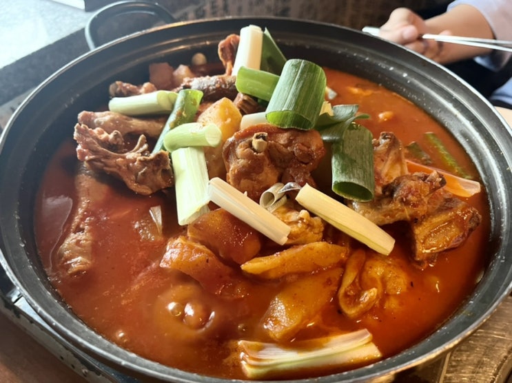  수원 아비꼬, 허구한날