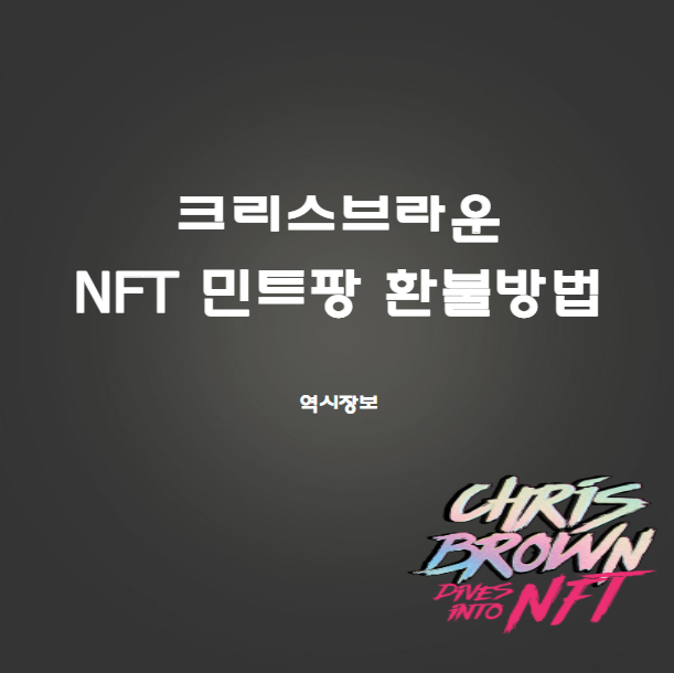  [NFT] 민트팡 환불 안내 및 환불 받는 방법
