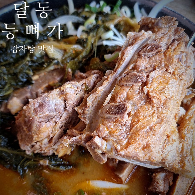  울산 달동 등뼈가 감자탕24시 : 뼈다귀 해장국 볶음밥까지