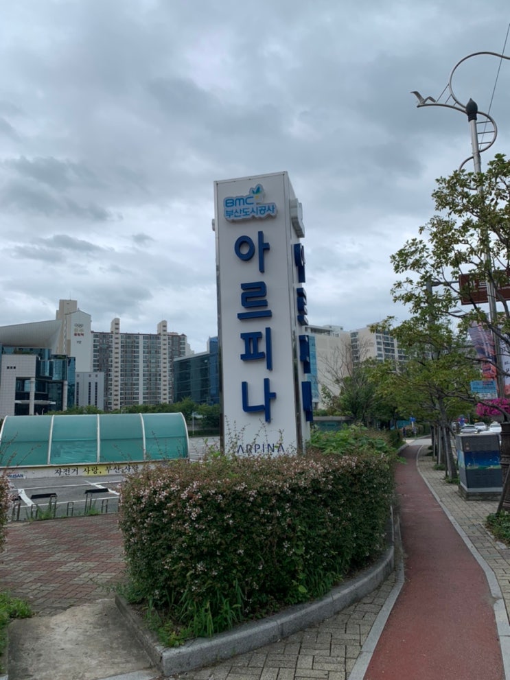  - 아르피나 자유수영시간/금액/주차장안내 꼭 읽고가세요! 사직실내수영장이랑 비교해본 '해운대 아르피나 수영장' -