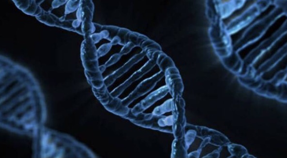 산타모니카 대학전공소개:Life Sciences Department 생명과학부