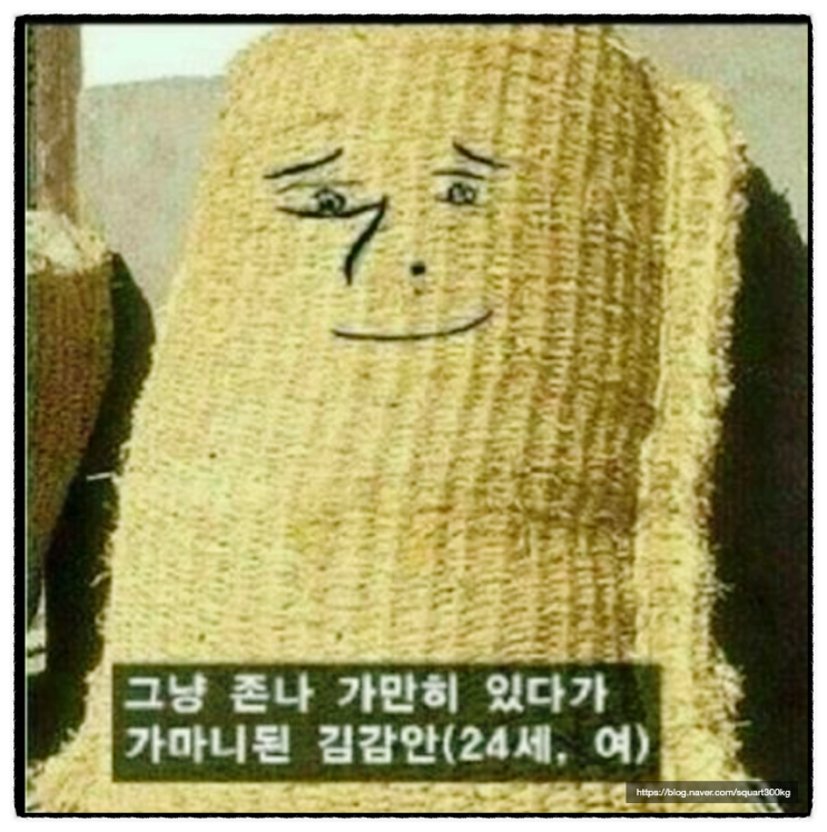  안드로이드 프래그먼트 정리(FragmentTransaction, popBackStack, setPrimaryNavigationFragment, setReorderingAllowed