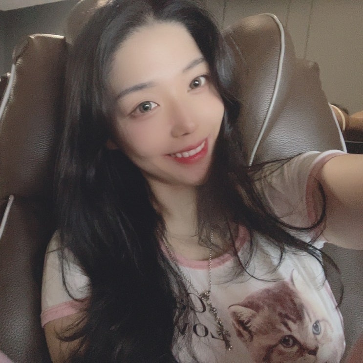  캣타워처럼 굴러가는 일상