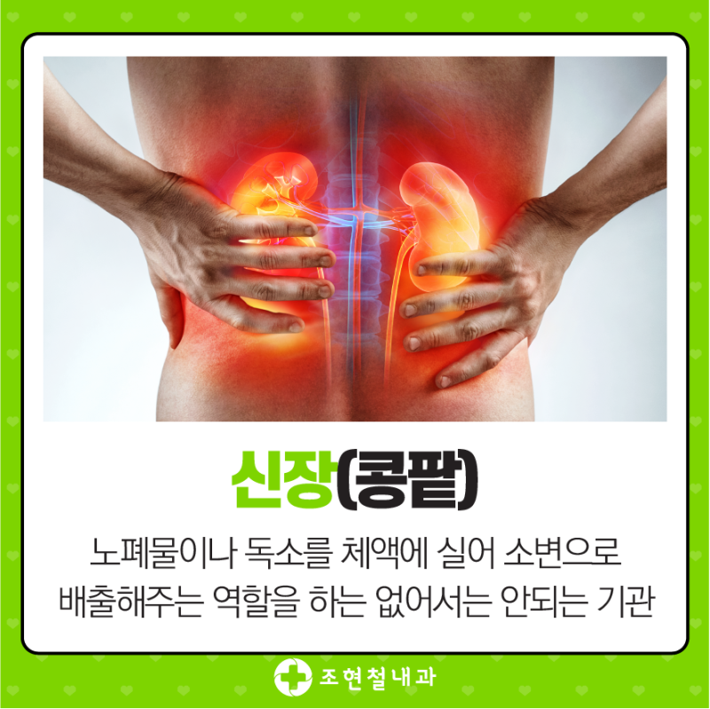 크레아티닌 수치가 높으면 어떤 의미를 가질까요? 4