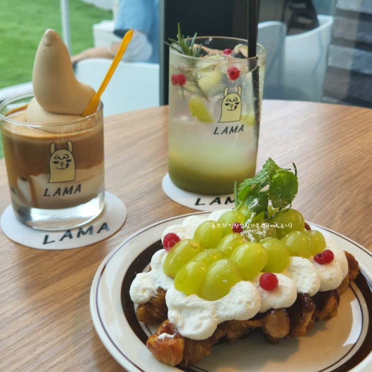 울산/언양신상카페 ｜애견동반 + 피넛아이스크림라떼가 맛있는 언양 카페 라마(LAMA)