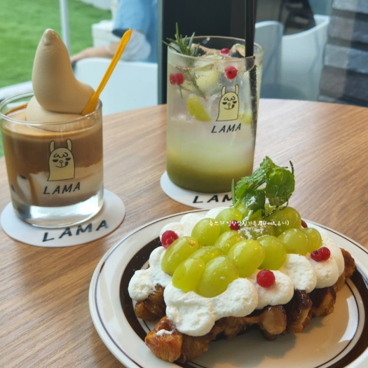  울산/언양신상카페 ｜애견동반 + 피넛아이스크림라떼가 맛있는 언양 카페 라마(LAMA)