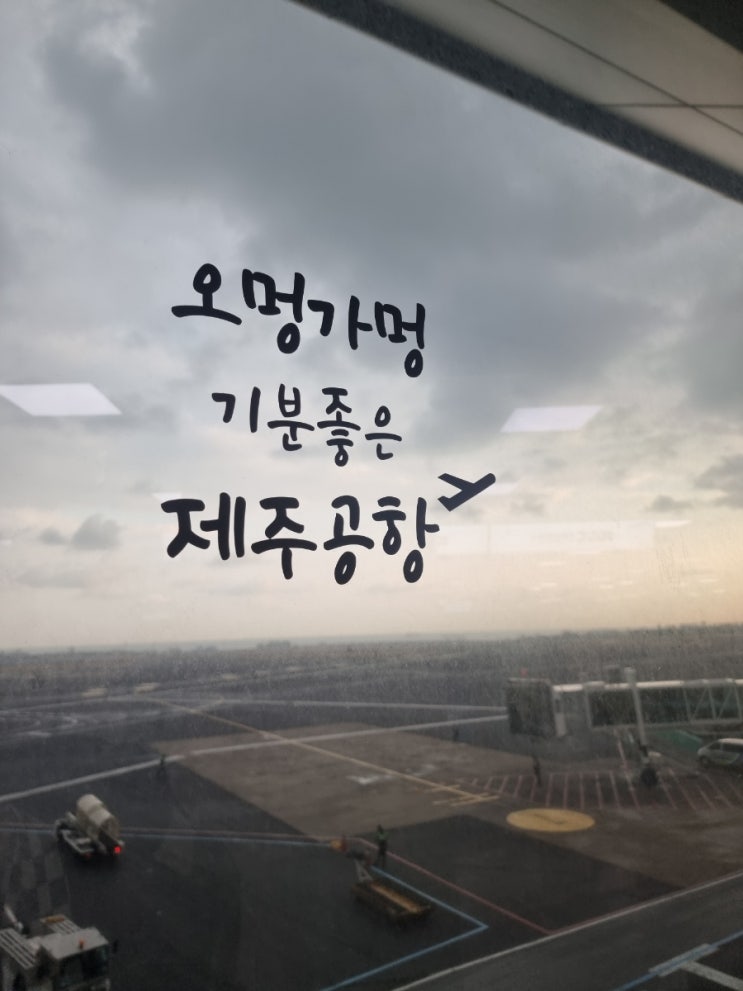  제주여행4 (제주공항- 서울도착-금족-역전할머니)