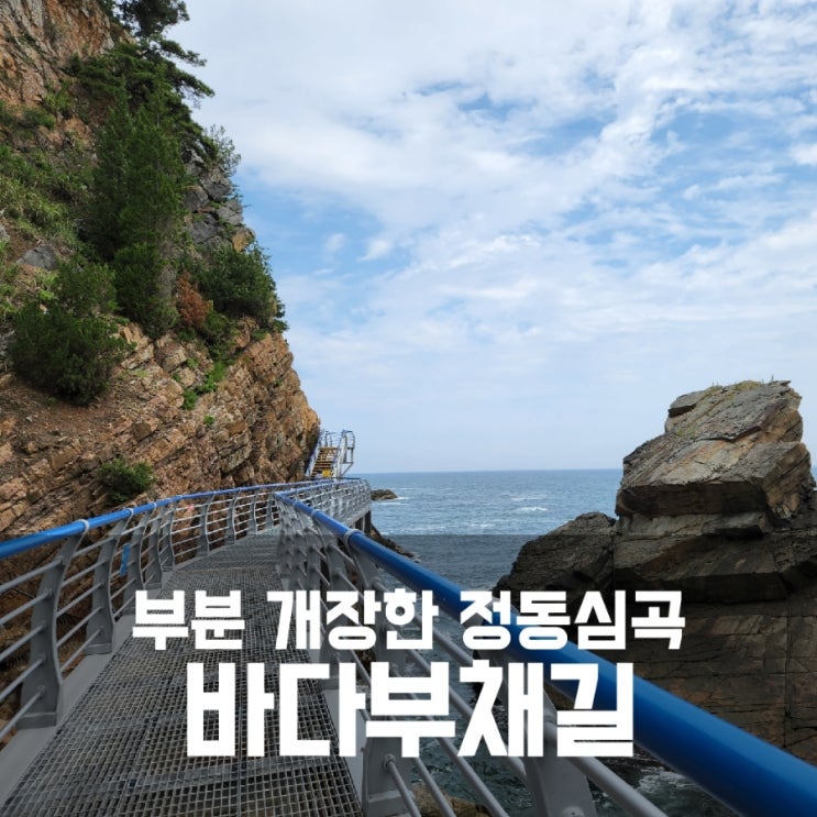 정동심곡 바다부채길 부분개장 정동심곡 바다부채길 부분개장
