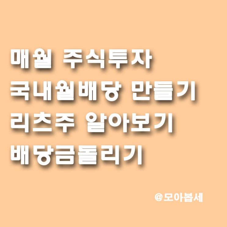  배당금돌리기 - 8월 시작 (100만원 투자)