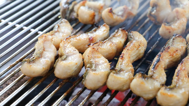  천안맛집 풍천장어직판장 애정하는 천안 보양식.