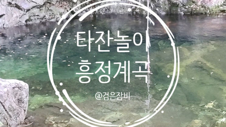  강원도 평창 가볼만한곳 타잔놀이 다이빙 계곡으로 유명한 흥정계곡!!! 여름휴가는 여기어때?